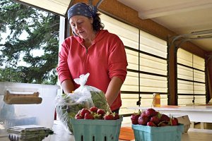Farmers market for the digital age