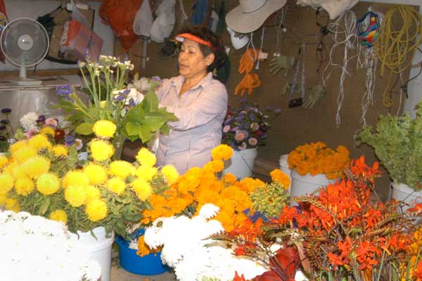 Everything grows at Family Farm