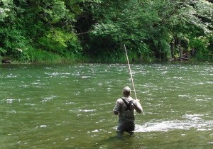 ONP shuts down recreational fishing in most Olympic National Park rivers