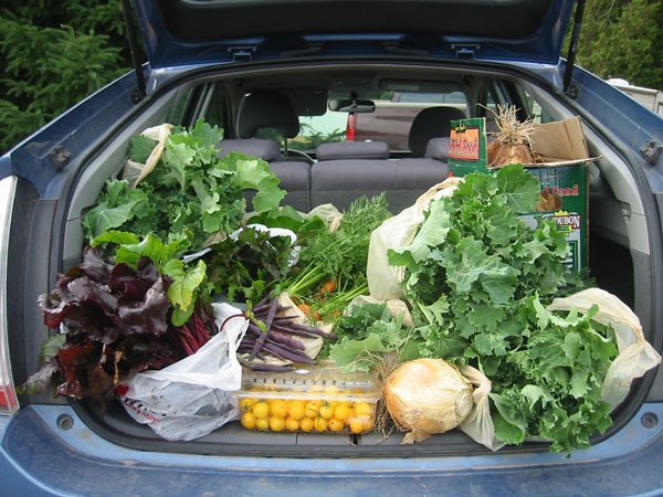 A home garden will provide plenty of fresh fruits and vegetables at their peak of ripeness and can reduce the money your family spends on groceries.