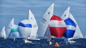 Thistles prepare for the Gybe mark in last year’s action on Sequim Bay.