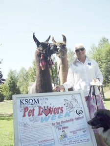 Milestone: hanks to community, pets rule