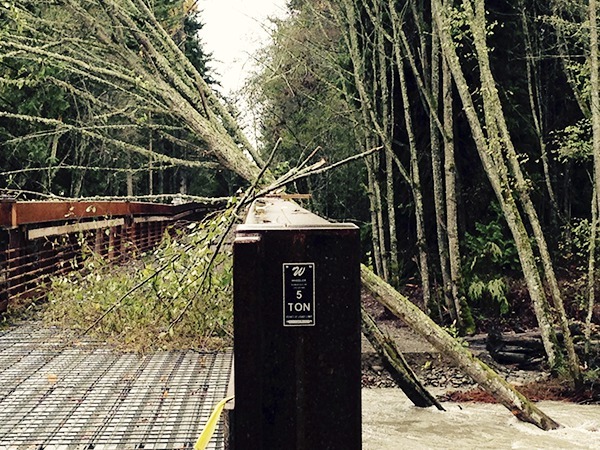 The new span of the steel bridge at Railroad Bridge Park held its own luck on Friday