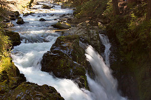 Olympic Peninsula Explorers trek to Sol Duc Falls on Saturday