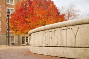Milestone: Consoliver, Lichten make the grades