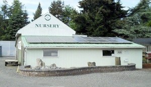 Volunteers with WAG hope to purchase and convert the property that was once the McComb Gardens plant nursery into a dog rescue facility.