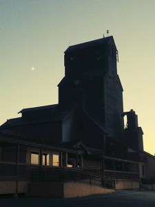 The Clallam Co-op grain elevator and the building formerly housing El Cazador go to auction this Friday to the highest bidder.
