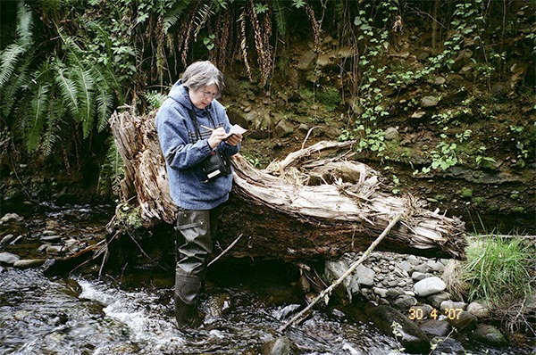 Streamkeeper volunteer Sandy Bengtson collects data near Salt Creek.