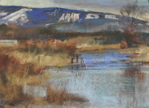 “Edison Slough in Winter” by Steve Hill