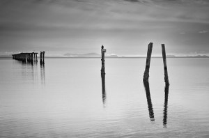'Center Stage' by Karen Rozbicki Stringer