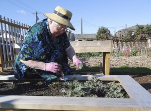 Because they elevate the soil level