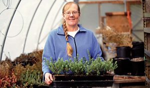 Warming the soul in greenhouses