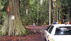 Body of missing Agnew man found south of Sequim