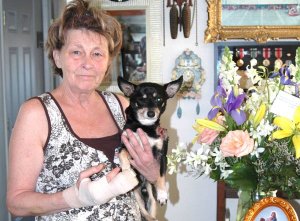 One dog put down, the other permanently impounded