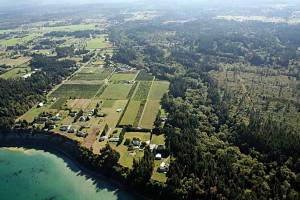 Land trust agreements add to Siebert Creek conservation