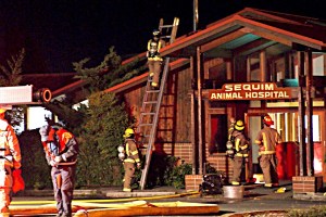 Minimal damage in animal hospital fire