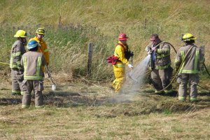 Small fire burns field, cause unknown