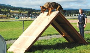 Obstacle course under construction at dog park