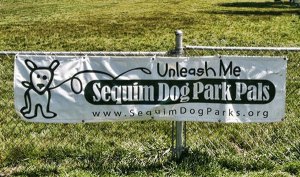 Kennel cough outbreak at dog park