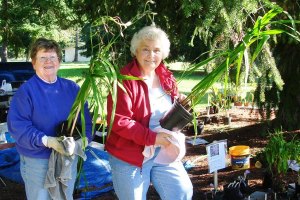 Garden Club hosts annual plant sale