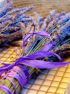 First place Lavender Photo Contest winner