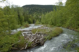 Water Matters: Signs of coming times