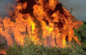 Editor's corner: Help keep peninsula safe from wildfires