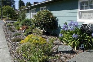 Get it Growing: September gardening activities