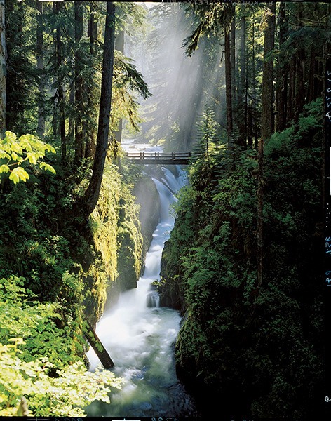 Local photographer Ross Hamilton