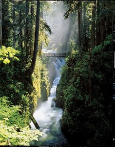 Local photographer Ross Hamilton