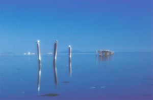 “Old Dungeness Pier and Lighthouse” by Jan Kepley