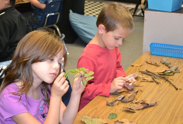 Lillian Talbot and Daymian Francis