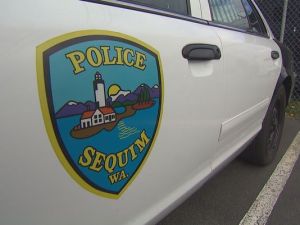 Police Blotter - Jan. 13-19, 2015