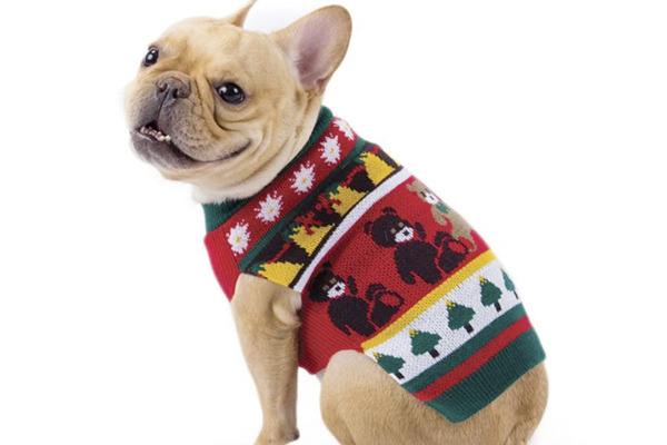 'Paws' to enter your holiday-happy pet in our online photo contest!