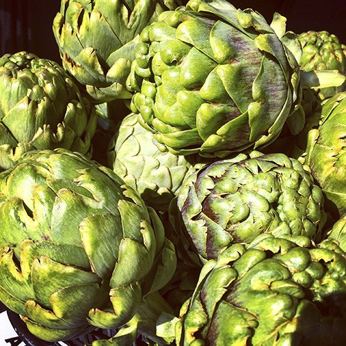 Market welcomes Sea Basket Farm