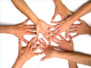 Haller Foundation now accepting applications for non-profit funding