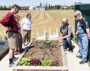 Clallam Mosaic instructor George Will