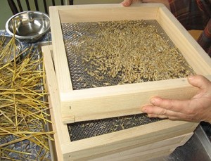 Hands-on seed cleaning course set for Sept. 16