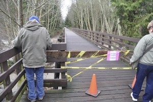Visitors to Railroad Bridge Park watch the Dungeness River roil beneath the bridge. Park officials closed the east portion of the bridge after they noticed two pilings are loose underneath.