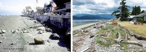 Shoreline property bulkhead before (left) and after work to help prevent erosion.