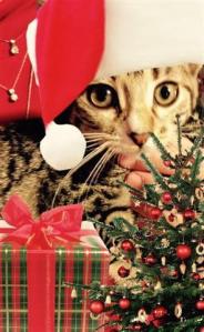 'Milo's First Christmas'