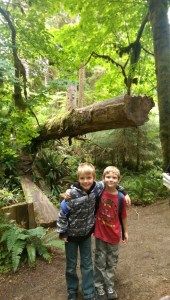 Junior Rangers with the Boys & Girls Club visit the Hoh Rainforest.