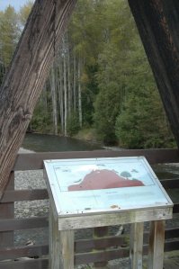 Incorporating technology into outdoor learning