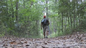 Free state park day set on Jan. 1