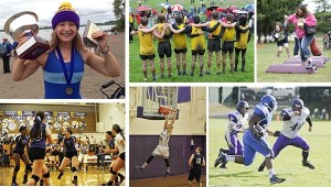 2015: The Year in Sports