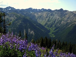 Marmot Pass