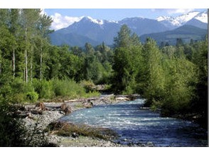 Water Matters: Holiday greetings ... from your local water supply