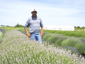 Victor Gonzales