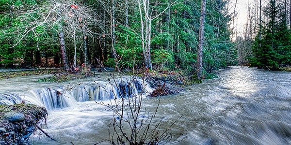 Contributing photographer Rich Taylor finds the Dungeness River still raging a couple of days after last week’s storm. “I’m pretty sure this new tributary of the Dungeness River forming this waterfall is normally not there