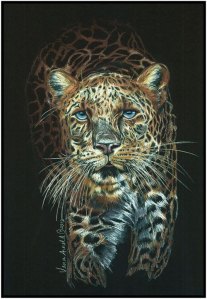 Art in the Library features work by Vana Arnold. It’s on view until Dec. 1.